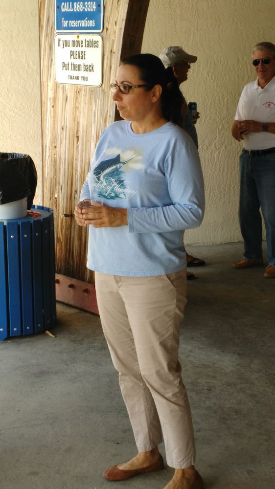 Meet the Bridge 2017